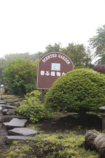 shozo4.jpg