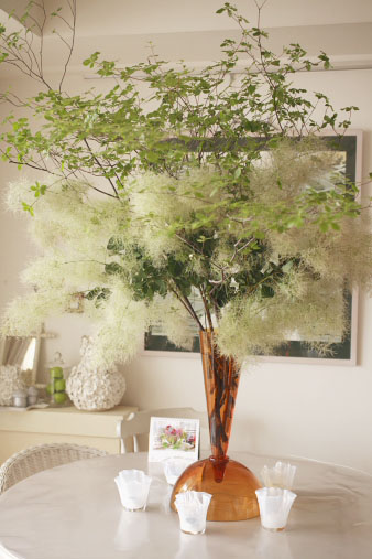smoketree5.jpg