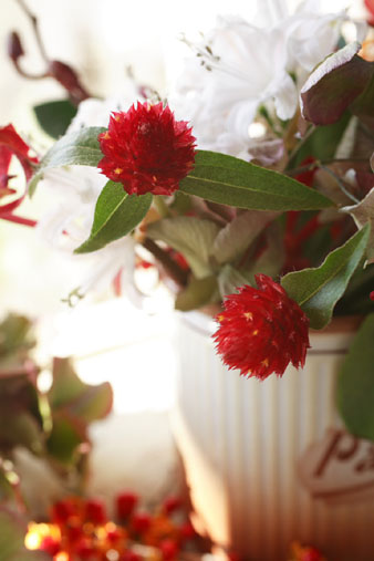 strawberryfield2.jpg