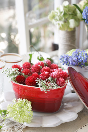 strawberryfield3.jpg
