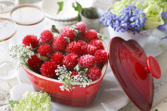 strawberryfield4.jpg