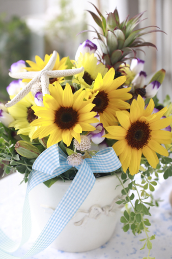 sunflowershell1.jpg