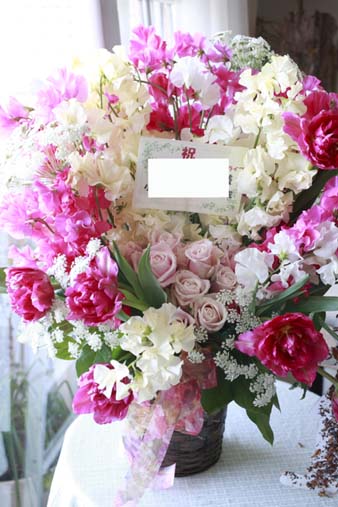 sweetpea1.jpg