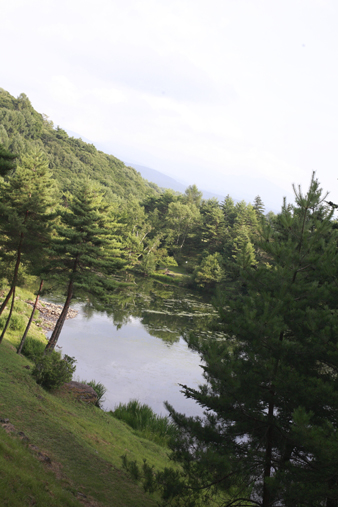 tateshina31.jpg
