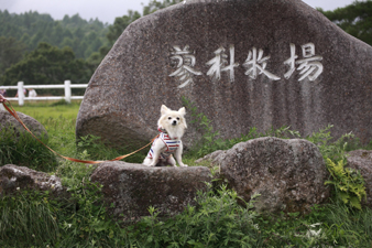 tateshina40.jpg