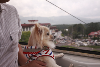 tateshina54.jpg