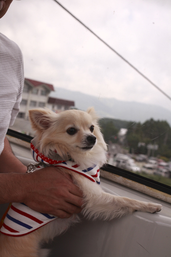 tateshina57.jpg