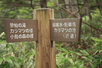 tateshina66.jpg