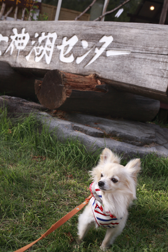 tateshina82.jpg