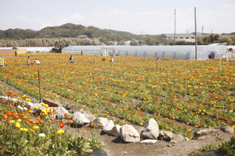 tateyama88.jpg