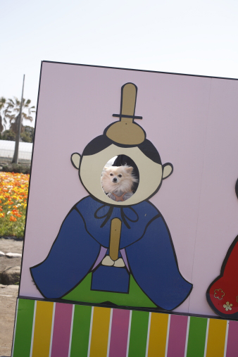 tateyama90.jpg