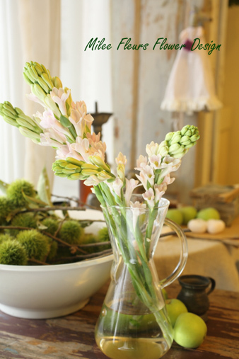 tuberose.jpg
