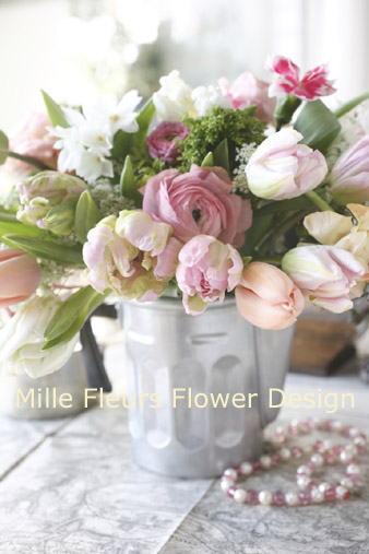 tulipmix.jpg