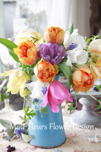 tulipmix2.jpg