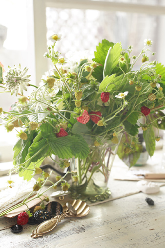 wildstrawberry.jpg
