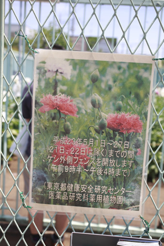 yakuyou6.jpg