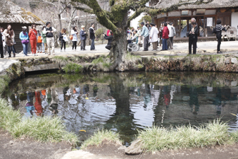 yamanakako49.jpg