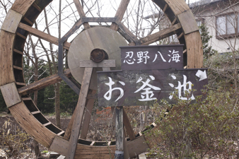 yamanakako53.jpg