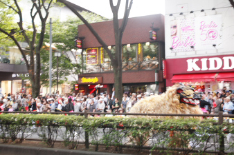 yosakoi8.jpg