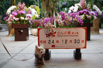 2012nenmatsu64.jpg