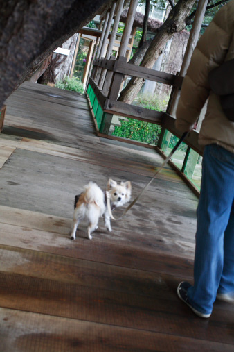 2012nenmatsu80.jpg