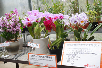 2012nenmatsu88.jpg