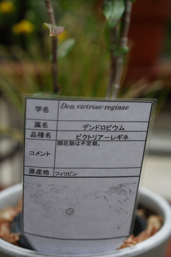 2012nenmatsu90.jpg