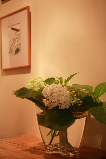 2013natsu218.jpg