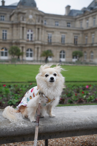 paris32.jpg