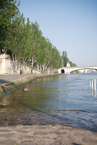 paris36.jpg