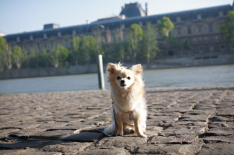 paris44.jpg