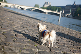 paris45.jpg
