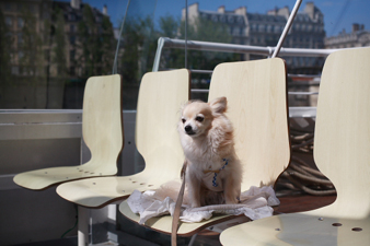 paris49.jpg