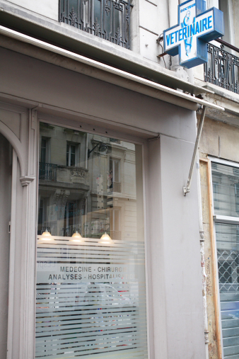 paris5.jpg