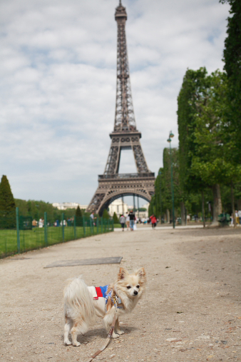paris54.jpg