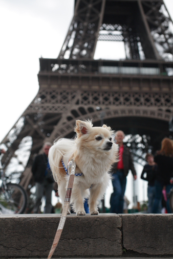 paris55.jpg