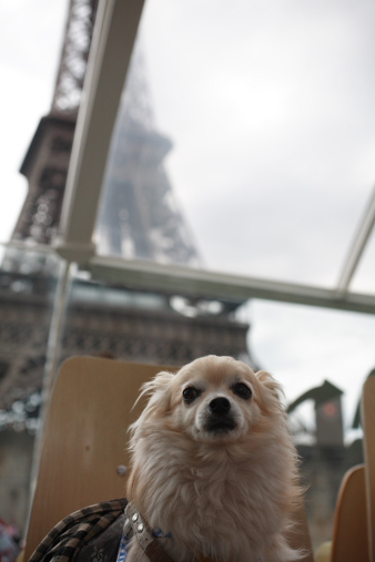 paris56.jpg