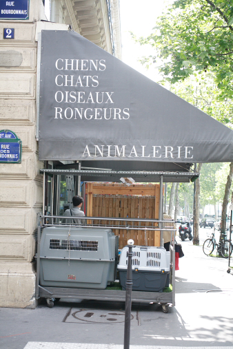 paris68.jpg