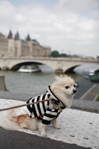 paris70.jpg