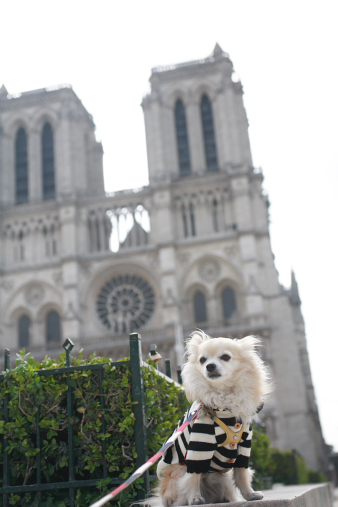 paris72.jpg