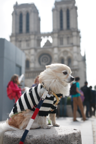 paris73.jpg