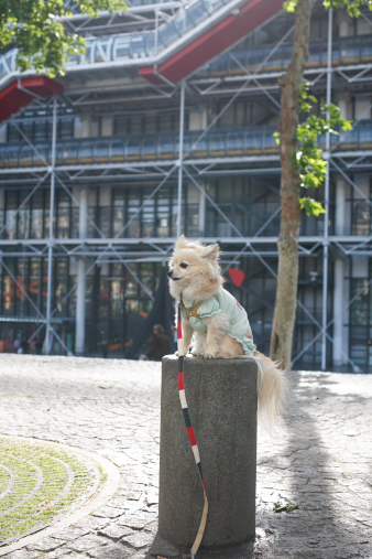 paris87.jpg