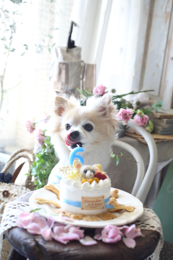 pyun6ans6.jpg
