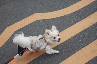 zushi10.jpg