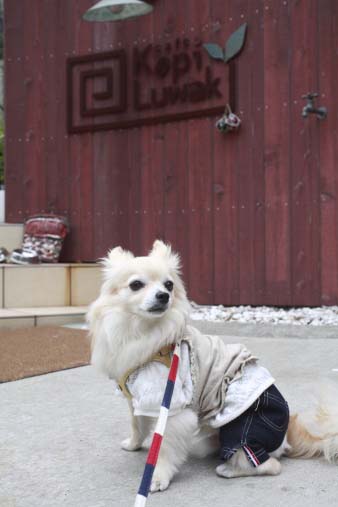 zushi16.jpg